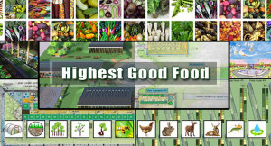 Highest Good Food for Facebook, biodiversity, global food, Ecological resource allocation