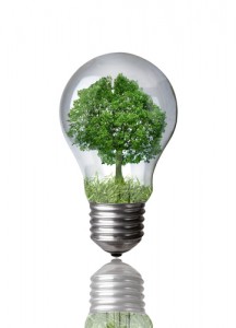 CFL vs incandescent, green energy, free lightbulbs, efficient lightbulbs, light bulbs, green light bulbs