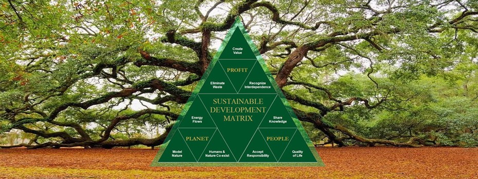 project decision making, green development strategy, ecological sustainable development