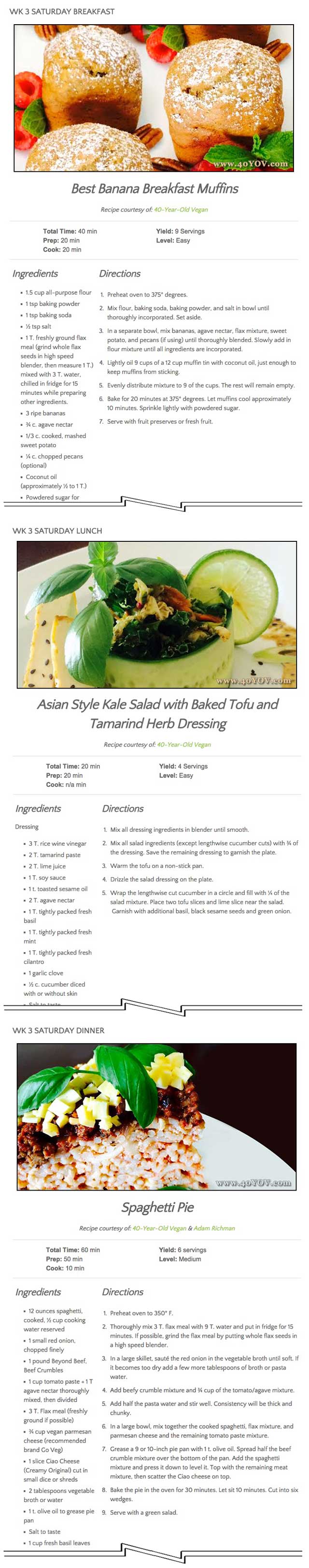 we added three additional recipes from Sandra Sellani (Vegan Chef and author of What’s Your BQ?) to the Food Self-sufficiency Transition Plan – These recipes are: Banana Breakfast Muffins, Asian Style Salad with Tamarind Dressing, and Spaghetti Pie, One Community