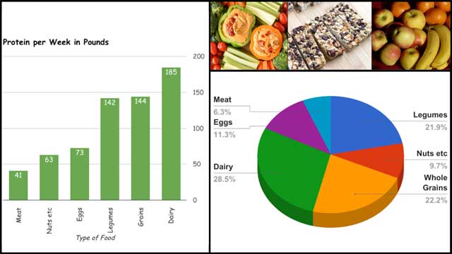This last week, the core team created 2 additional new images for the Sustainable Food Nutrition Calculations page and one additional image for the Food Self-sufficiency Transition Plan page, as you see here: