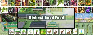 Highest Good food, sustainable food, eco food, DIY food, food security, One Community food, green living, food self-sufficiency