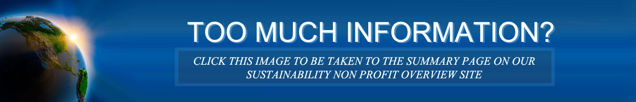 emotional sustainability, mental sustainability, evolving sustainability, eco-mental, eco-emotional