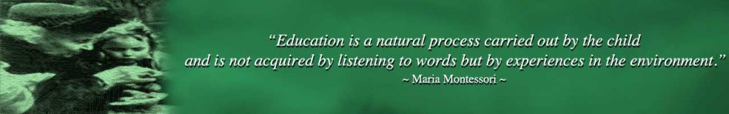 Montessori For Everyone Open Source And Free shared Montessori montessori-for-everyone-open-source-and-free-shared-montessori