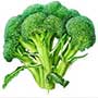 Brassica oleracea, Broccoli, aquapini planting, aquapini food, Highest Good food, walipinis, organic food