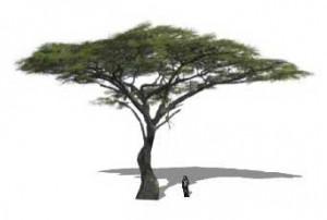 Sketchup Plants Trees And Shrubs Archive