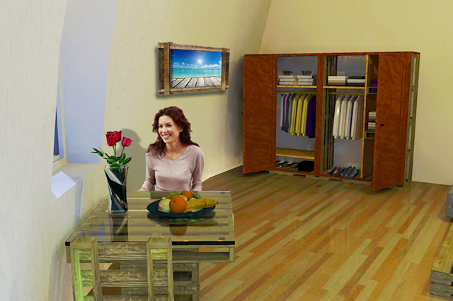 One Community Duplicable City Center Rental Room Final Render, Living Dome Rental Room Do-it-Yourself-Replicable Pallet Furniture Closet