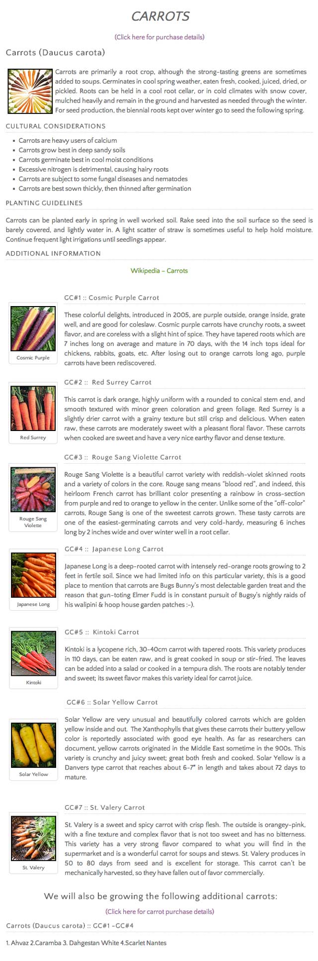 heirloom carrots, large-scale gardening, One Community