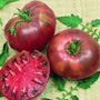 Cherokee Purple Tomato, One Community