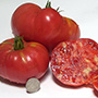 Dester Tomato, One Community