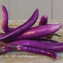 Fengyuan Purple Eggplant, One Community