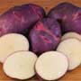 Purple Viking Potato