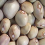 Bolita beans, One Community