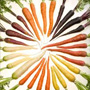 Carrots, One Community