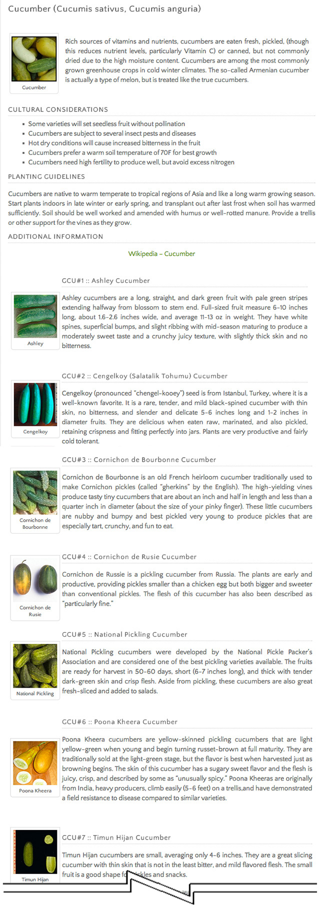 Whole-Systems Approach for World Change Cucumbers, One Community