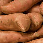 Cordner’s Red Sweet Potato, One Community