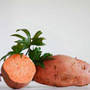 Ginseng Orange Sweet Potato, One Community