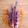 Pacific Purple Asparagus, One Community