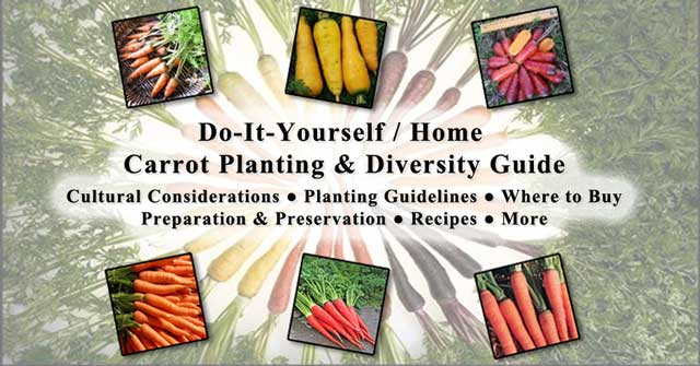 Carrots, One Community-whole-life green-living models