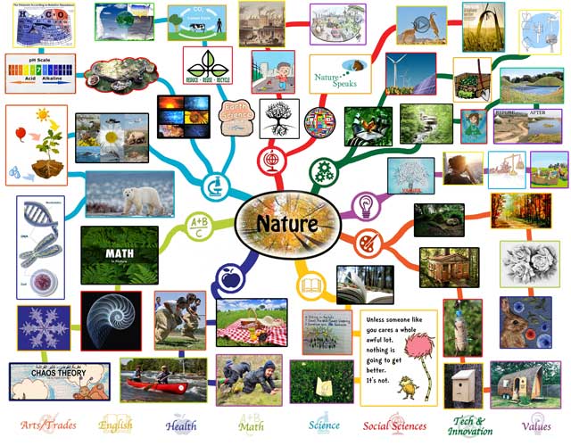 Nature Mindmap, One Community