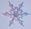 winter-physical-science-theme-icon