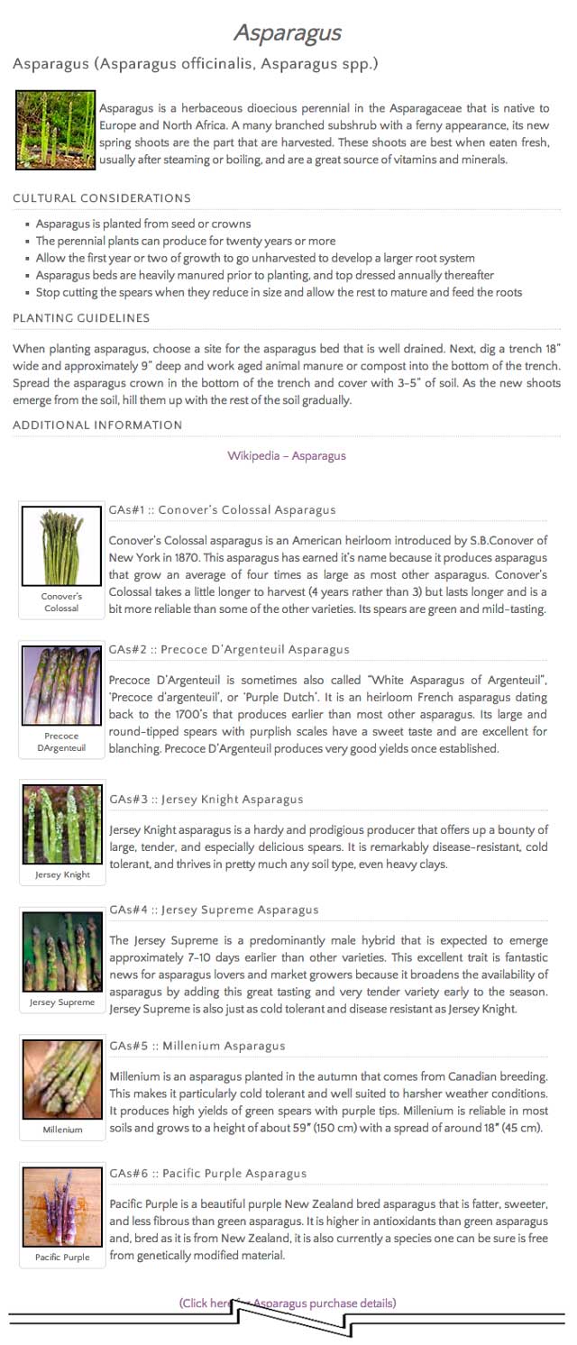 Asparagus, One Community