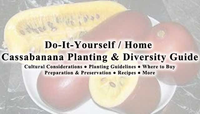 Cassabanana : Click Image for the Main Large-scale Gardening Hub Cassabanana collage, One Community