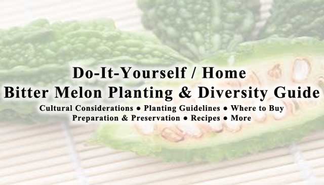 Bitter Melon : Click Image for the Main Large-scale Gardening Hub Bitter Melon collage, One Community