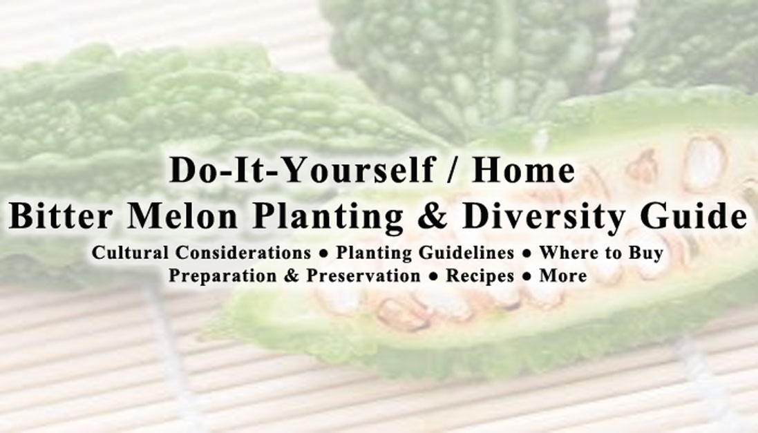 BitterMelon Cultural Considerations Planting Guidelines Where to