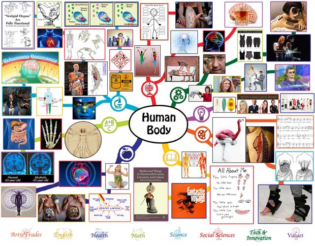 Human Body Mindmap, almost complete, One Community