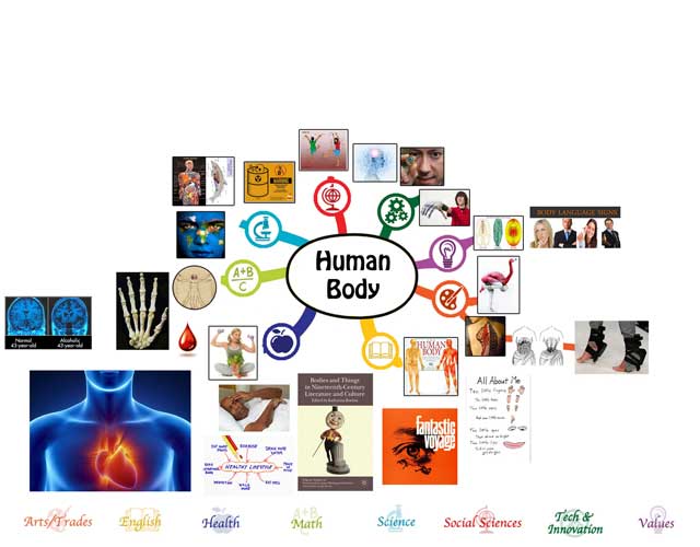Human Body Mindmap, 50% Complete, One Community