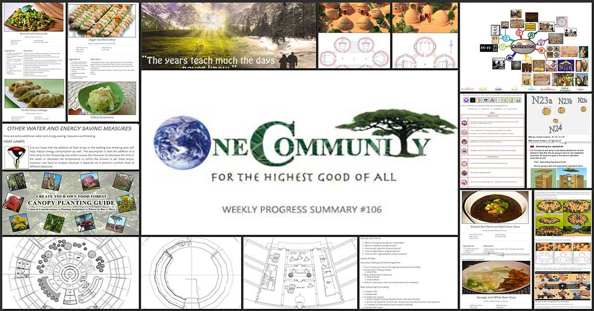 Creating a Goal-Oriented Ecological Renaissance, One Community Weekly Progress Update #106