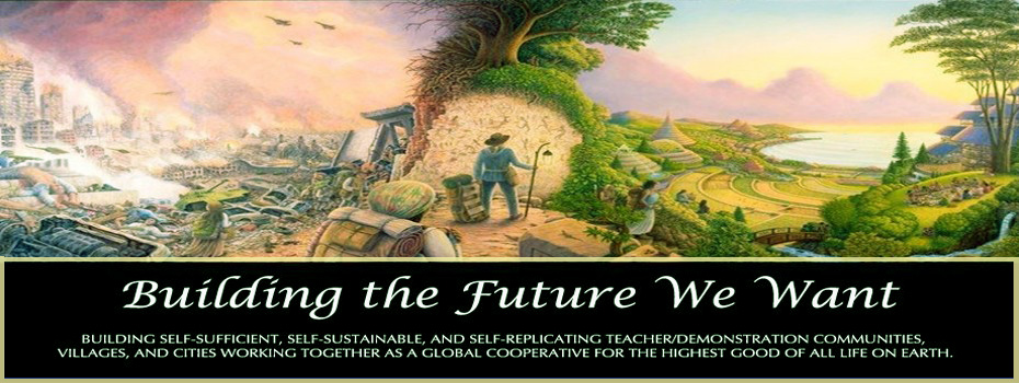 Building the Future We Want