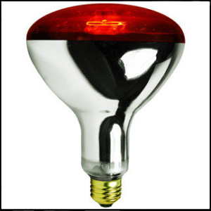 reduce energy consumption with a heat lamp.