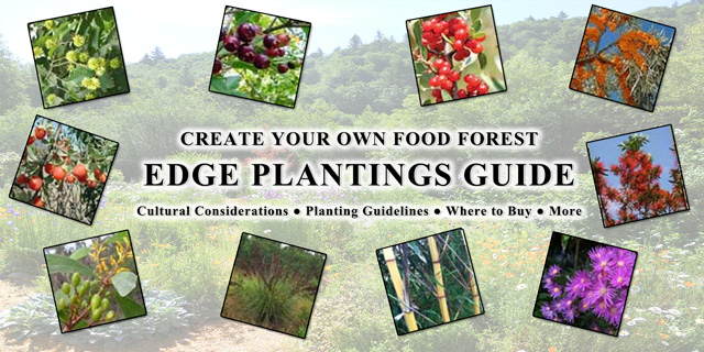 Active Ecological Reinvention of Our World, Food Forest Edge Planting Guide, One Community