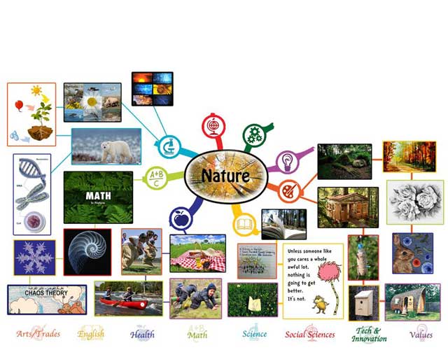 Nature 50% complete, One Community
