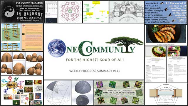 Creating Objective and Measurable Global Transformation, One Community Weekly Progress Update #111