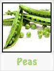peas, green peas, pea pods, gardening, planting, growing, harvesting, one community, recipes