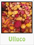 ulluco, gardening, planting, growing, harvesting, one community, recipes