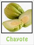 chayote, chayote plant, gardening, planting, growing, harvesting, one community, recipes