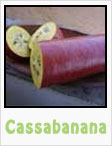 cassabanana, cassabanana plant, gardening, planting, growing, harvesting, one community, recipes