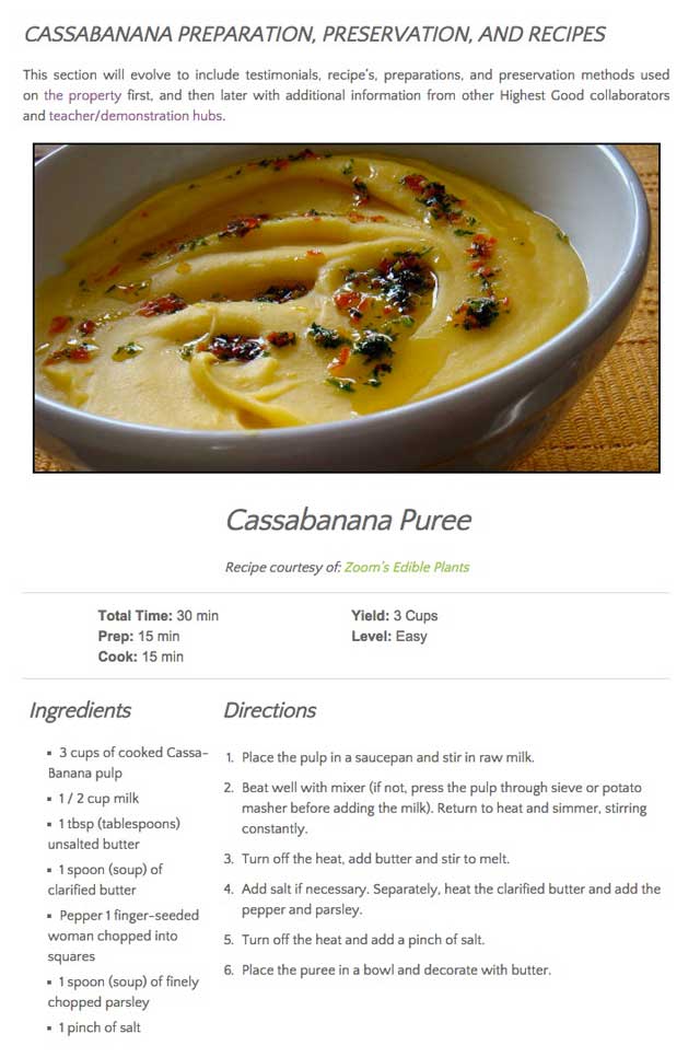 cassabanana puree, One Community recipe