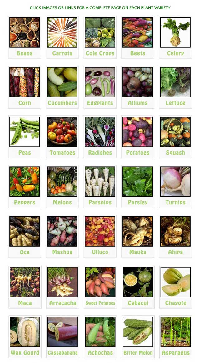 The open source Large Scale Gardening Hub portion of our website reached 100% completion this week too, so take a look there for growing information and recipes for many different varieties of edible plants!