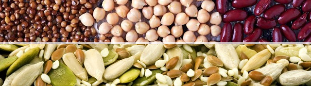 legums-nuts-seeds-banner