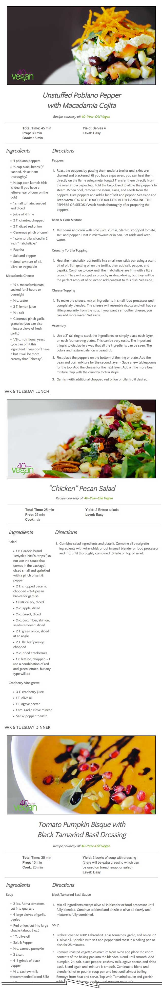  added three additional recipes from Sandra Sellani (Vegan Chef and author of What’s Your BQ?) to the Food Self-sufficiency Transition Plan – These recipes are: Unstuffed Poblano, Tomato Pumpkin Bisque, and “Chicken” Chopped Salad with Cranberry Vinaigrette: