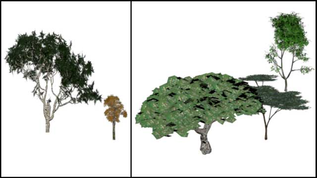 Forwarding the Evolution of Sustainability, Dean Scholz, Architectural Designer, further developed what’s necessary for us to create quality Cob Village (Pod 3) renders. Here is update 18 of this work that is now focused on what you see here, creating quality-render trees like those native to the area we intend to build in.