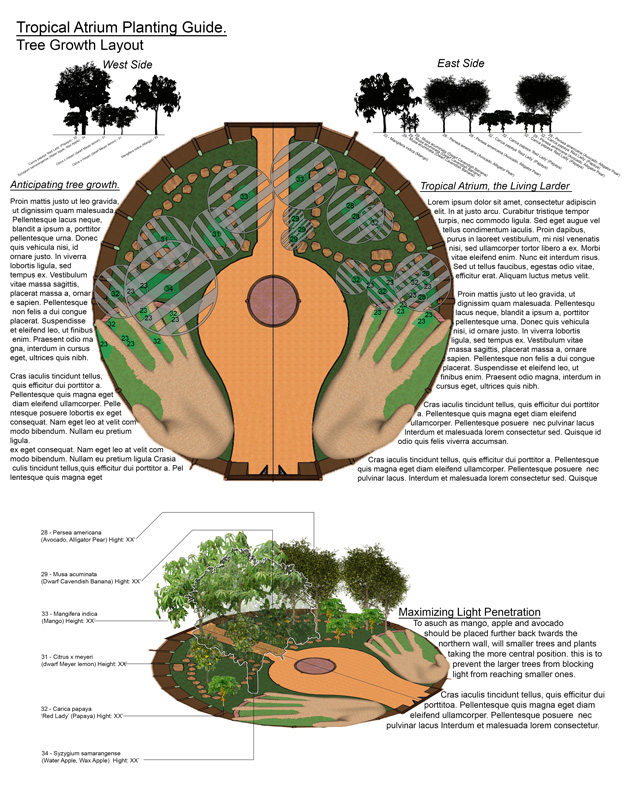 Ecological Tipping Point for an Abundant Future, Shadi then finished this new image for the tree aspects of the Tropical Atrium Planting and Harvesting plan, adding more details to show the layering of these trees and how this has been done to maximize sunlight availability for all of them. Next step is for us to add the content and upload them to the site.