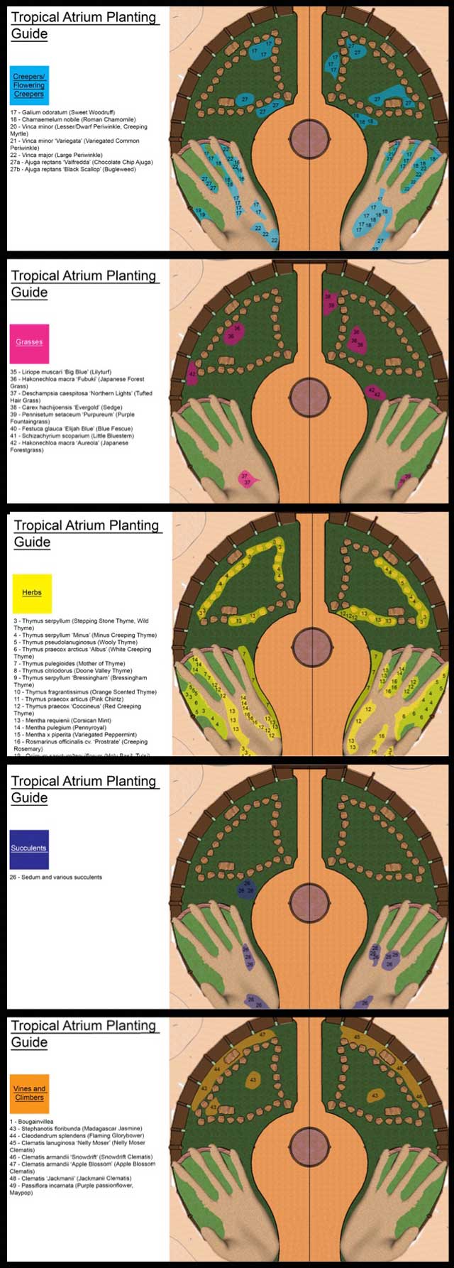 Forwarding the Evolution of Sustainability, Shadi Kennedy (Artist and Graphic Designer) also created these individual planting plan maps for the Tropical Atrium Planting and Harvesting page. 