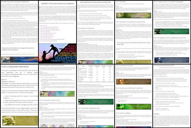 This week, the core team finished the second 50% of review, formatting, editing, and content, resources, and imagery additions to the Learning for Life Assessment Format page. You can see some of this last week’s work here and the page is now complete.