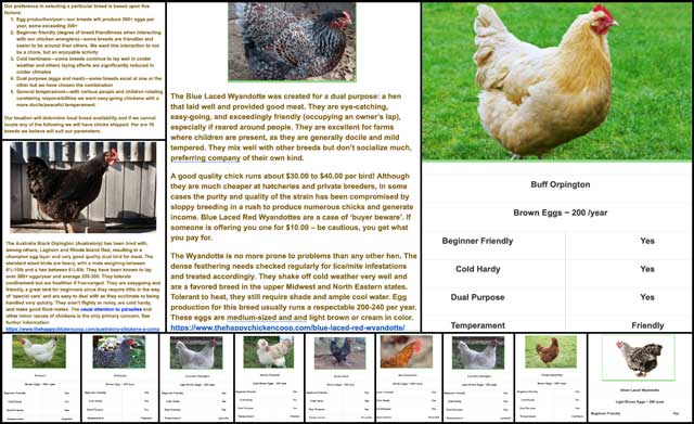 chicken breeds, Adaptable Solutions for a Sustainable World, One Community Weekly Progress Update #347